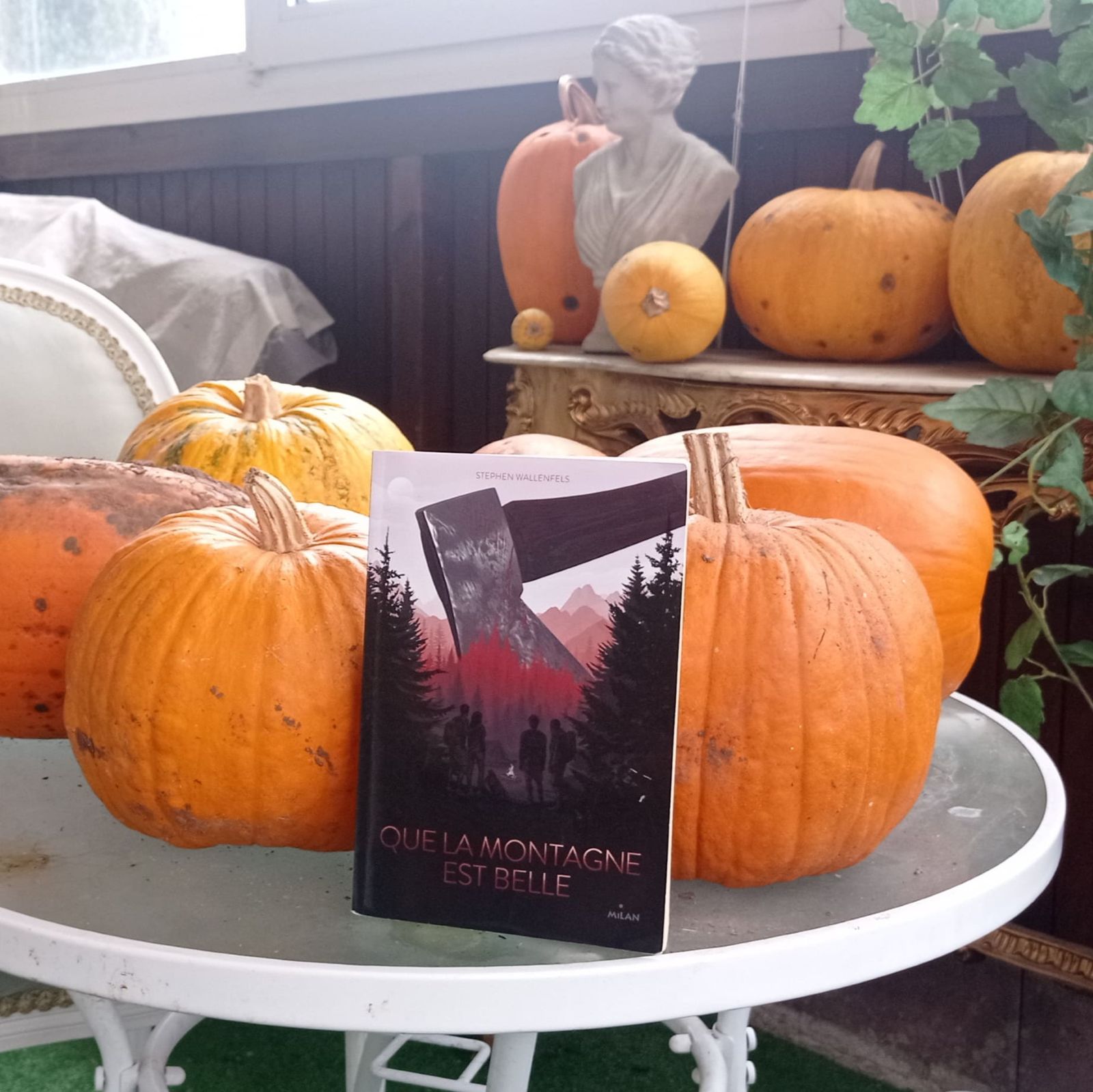 Livre posé sur une table avec des citrouilles