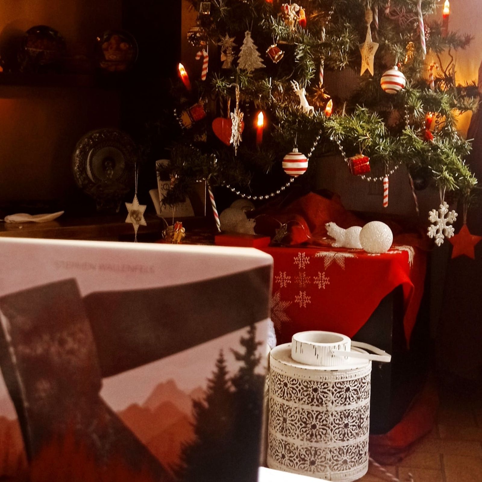 Livre posé devant un sapin de Noël