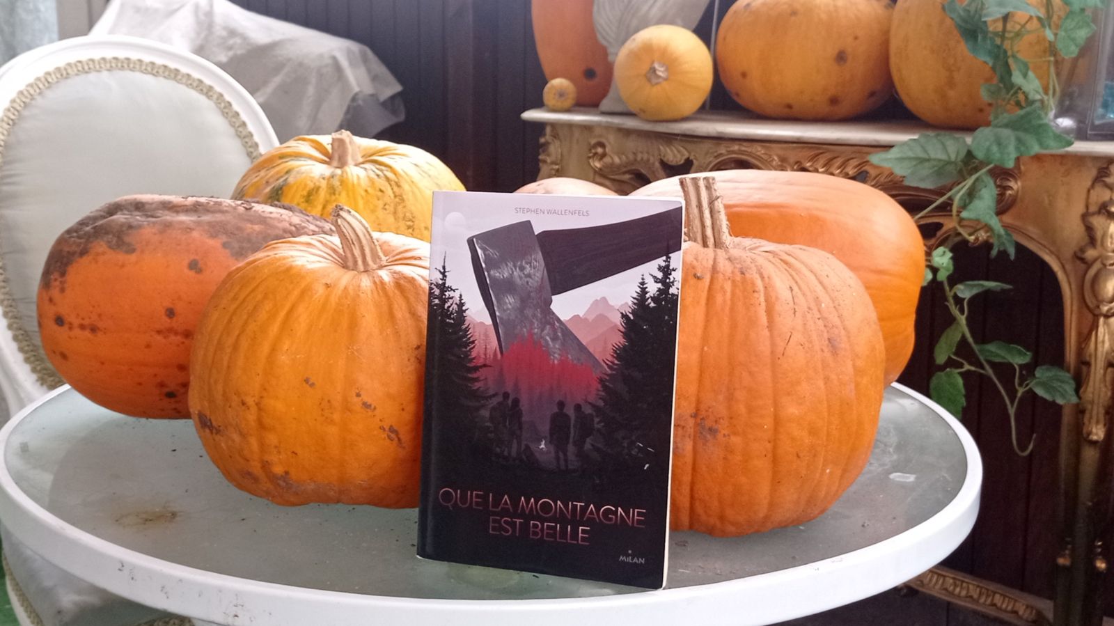 Livre posé sur une table avec des citrouilles